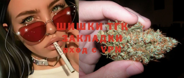 сатива Иннополис