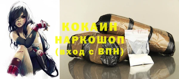 сатива Иннополис
