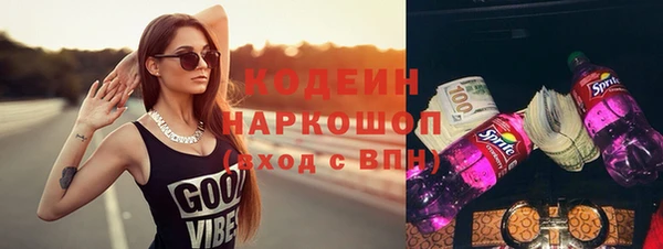 гашик Инта