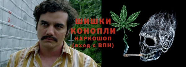 сатива Иннополис