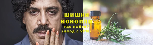 сатива Иннополис