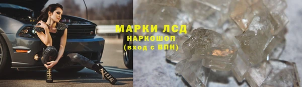 гашик Инта
