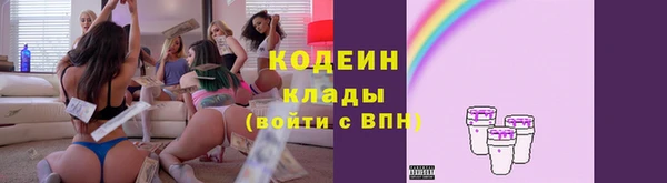 сатива Иннополис