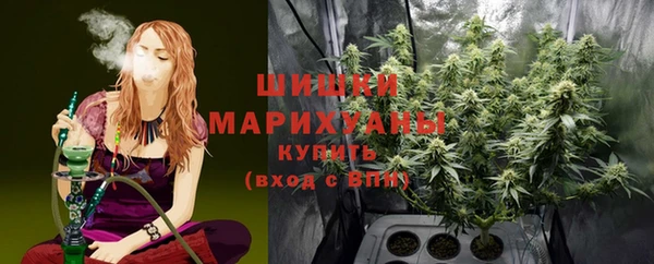 сатива Иннополис