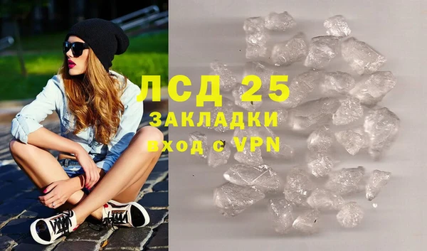 сатива Иннополис