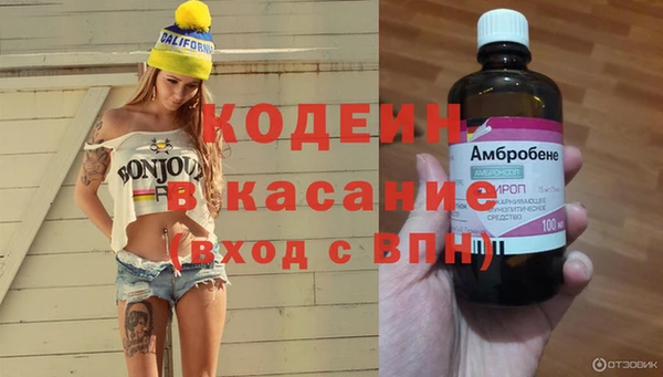 сатива Иннополис