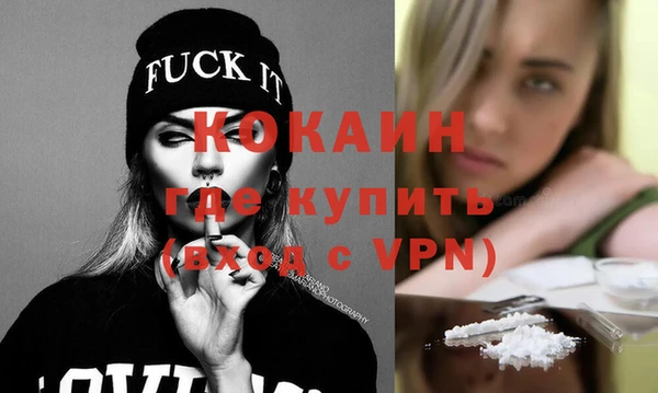 гашик Инта