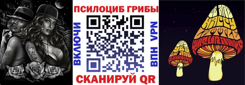 Купить закладки  Данков  Псилоцибиновые грибы Psilocybe 